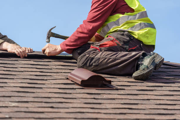 Roof Waterproofing Services in Despard, WV