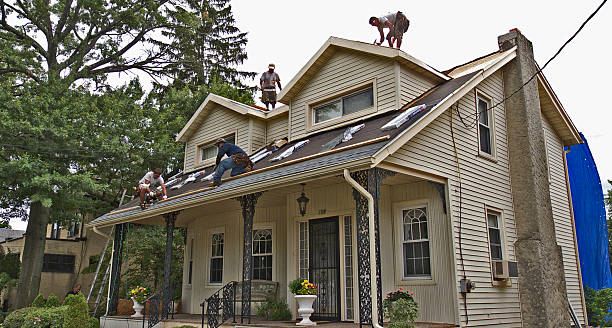 Best Metal Roofing Contractor  in Despard, WV