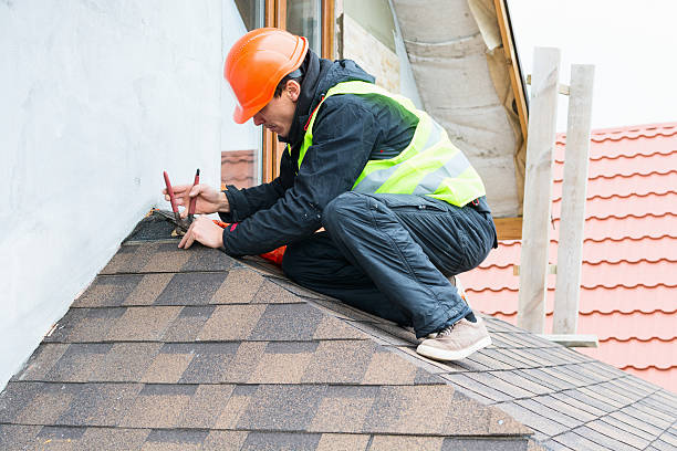 Best Residential Roofing Contractor  in Despard, WV