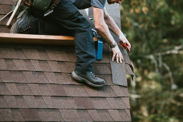 Best Local Roofing Companies  in Despard, WV